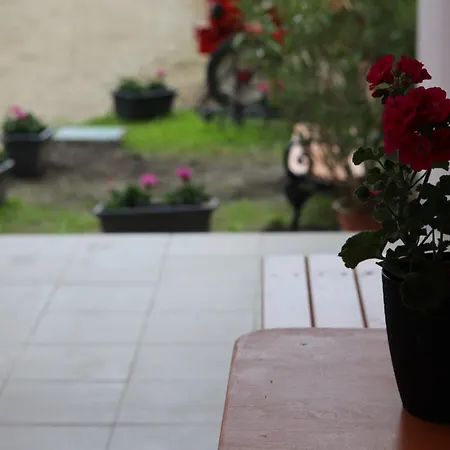 Levendula - Homestay szállás *