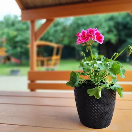 Levendula - Homestay szállás Bezi
