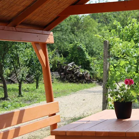 Homestay szállás Levendula - *